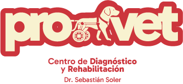 PROVET | Diagnóstico y rehabilitación veterinaria en Barranquilla
